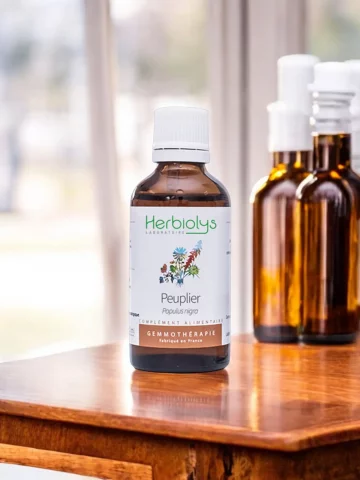 Macérat de bourgeons bio de Peuplier (Populus nigra)  Soutien circulatoire et articulaire