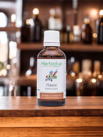 Macérat de bourgeons bio de Platane (Platanus acerifolia)  Santé cutanée et confort respiratoire