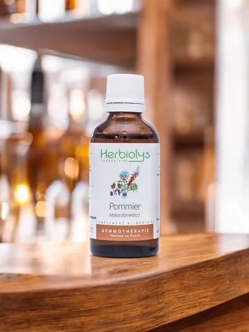 Macérat de bourgeons bio de Pommier (Malus sylvestris)  Équilibre hormonal et bien-être émotionnel