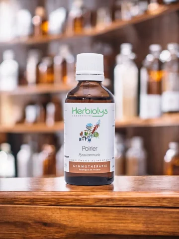 Macérat de bourgeons bio de Poirier (Pyrus communis)  Confort urinaire masculin