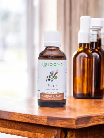Macérat de bourgeons bio de Ronce (Rubus fruticosus)  Soutien respiratoire et articulaire