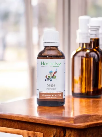 Macérat de bourgeons bio de Seigle (Secale cereale)  Purification et Minceur