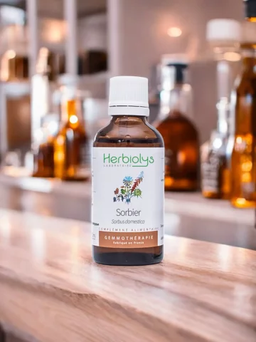 Macérat de bourgeons bio de Sorbier (Sorbus domestica)  Amélioration de la microcirculation et soulagement des maux de tête