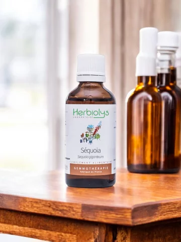 Macérat de bourgeons bio de Séquoia (Sequoia gigantea)  Vitalité masculine et soutien osseux