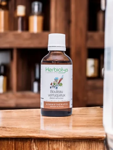 Macérat de bourgeons bio de Bouleau verruqueux  Régénération osseuse et protection hépatique