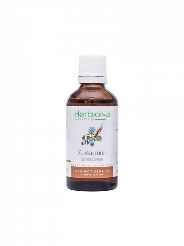 Macérat de bourgeons bio de Sureau noir (Sambucus nigra)  Soutien immunitaire et respiratoire
