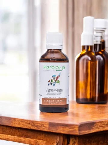 Macérat de bourgeons bio de Vigne Vierge (Ampelopsis veitchii)  Soutien articulaire et tissulaire